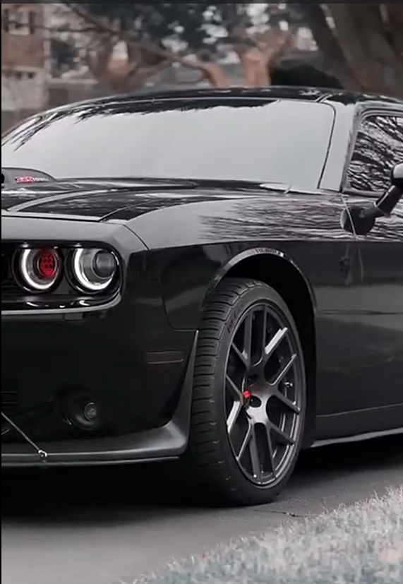 Mustang Attitude