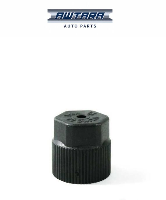 AUDI / VOLKSWAGEN GENUINE AC VALVE CAP 357820809C