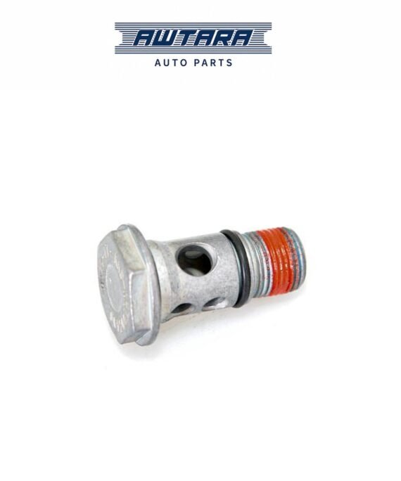 AUDI / VOLKSWAGEN GENUINE BANJO BOLT WHT003496